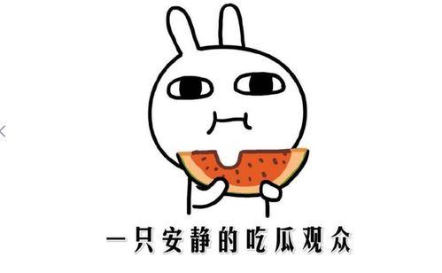 吃瓜群众啥意思呀,网络时代的围观者心态解析