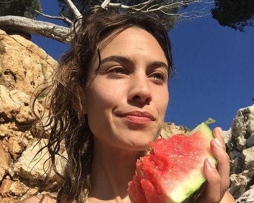 娱乐圈吃瓜的小羊